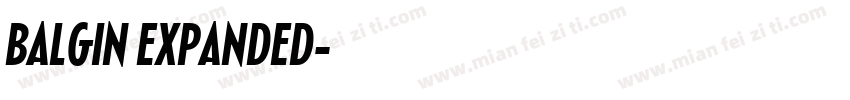 BALGIN EXPANDED字体转换
